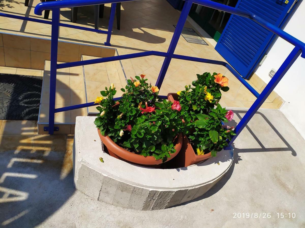 Hotel Coccinella Sabaudia Zewnętrze zdjęcie
